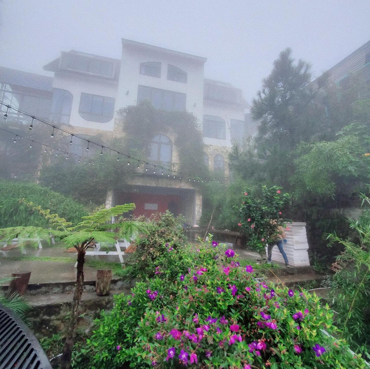 Le Vent Tam Dao Homestay Экстерьер фото
