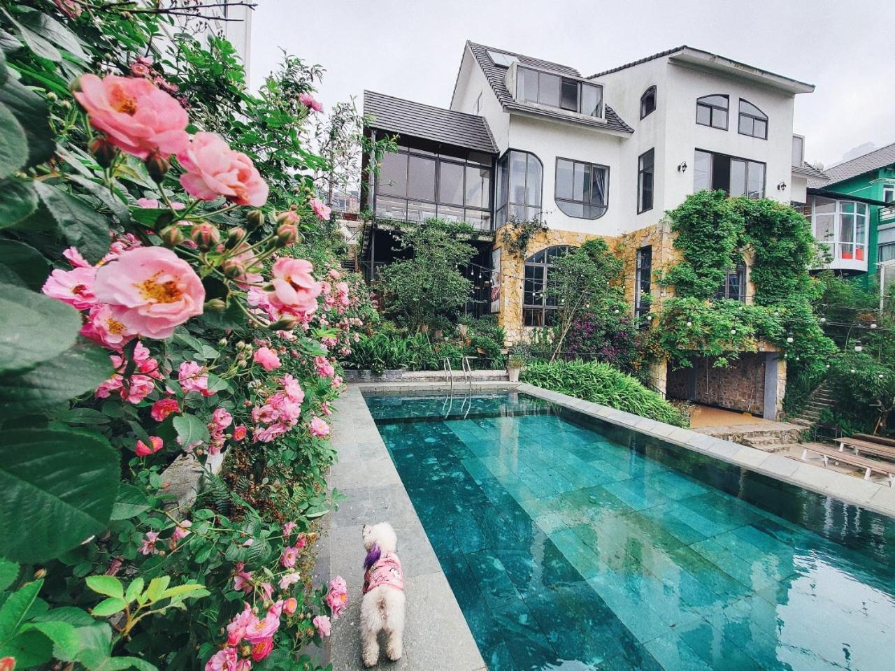 Le Vent Tam Dao Homestay Экстерьер фото